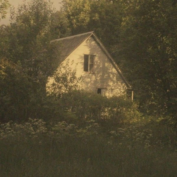 The old house among the trees above the meadow, left as the morning leaves it