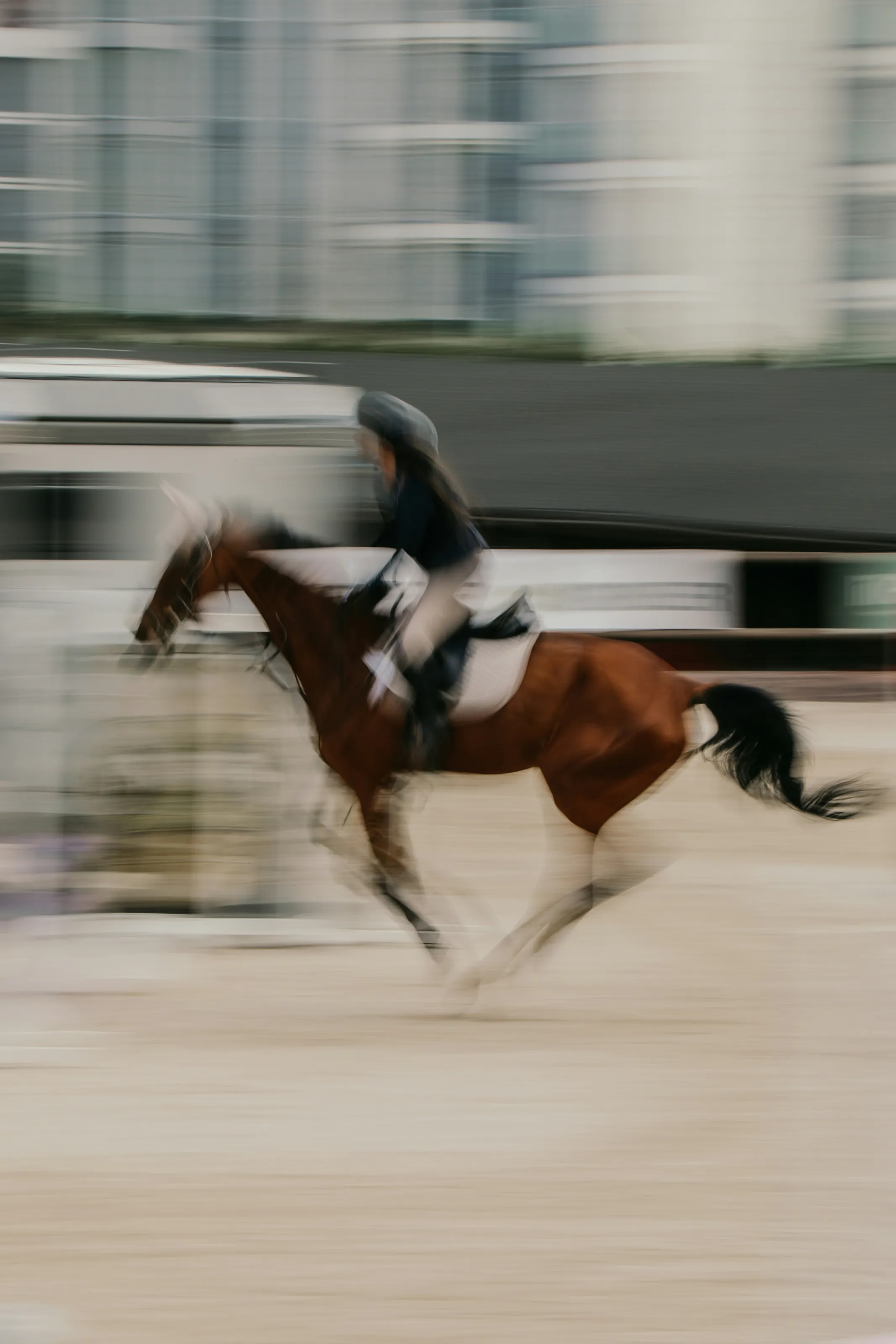 A rider on a chestnut crossing the school at a canter
