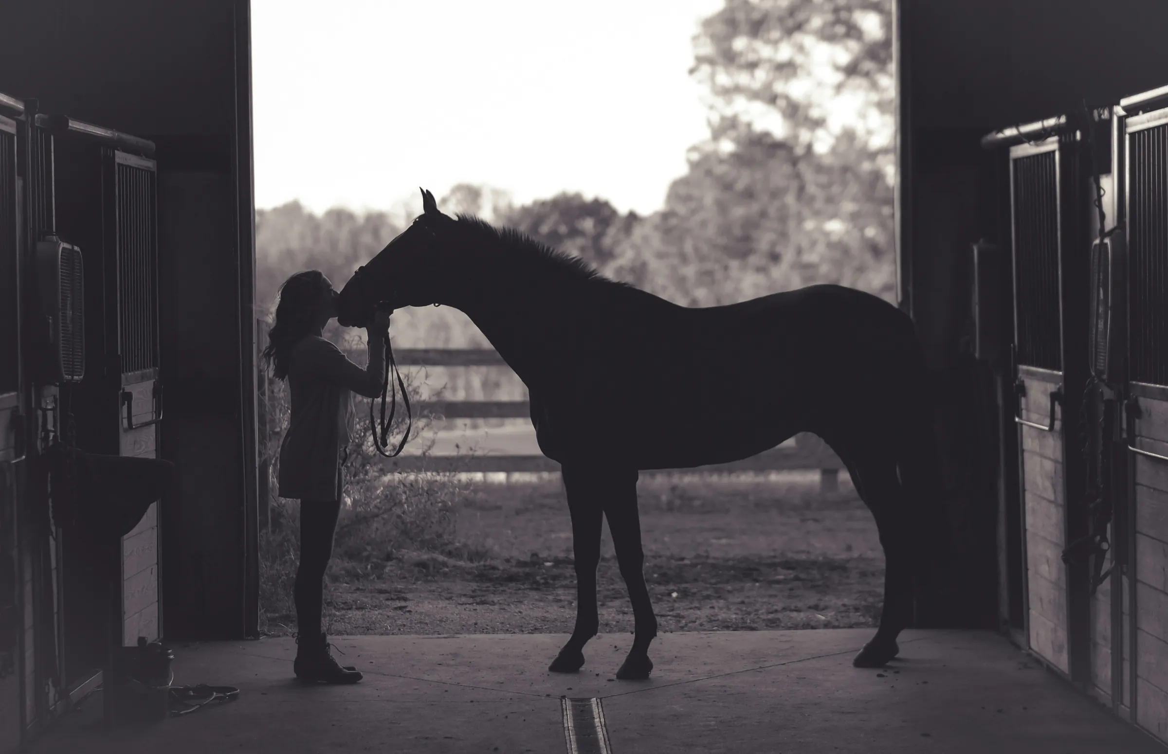 A rider with a horse in the stable doorway, as the name is kept